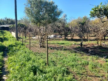 Quinta T2 para Venda em Faro (Sé e São Pedro)