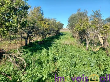 Quinta T2 para Venda em Faro (Sé e São Pedro)