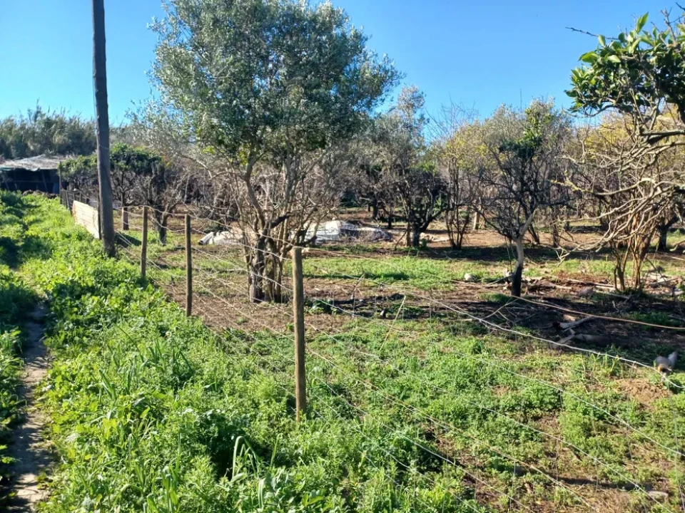 Quinta T2 para Venda em Faro (Sé e São Pedro) Foto 10