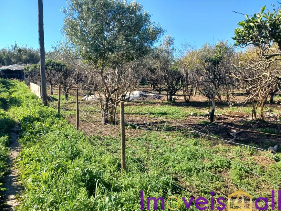 Quinta T2 para Venda em Faro (Sé e São Pedro) Foto 10