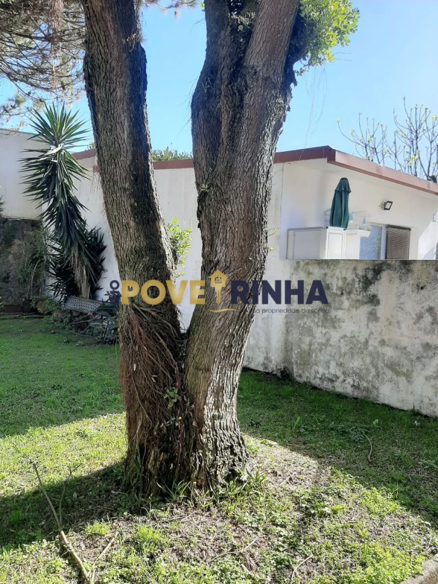 Loja para Venda em Póvoa de Varzim, Beiriz e Argivai Foto 8