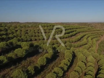 Quinta T0 para Venda em Mertola