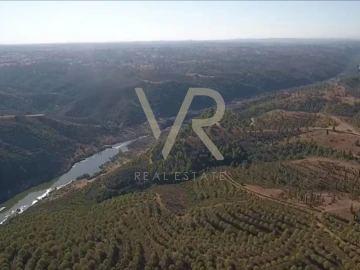 Quinta T0 para Venda em Mertola