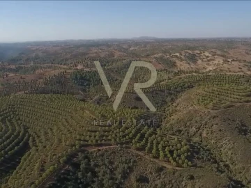 Quinta T0 para Venda em Mertola