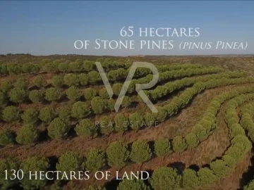 Quinta T0 para Venda em Mertola