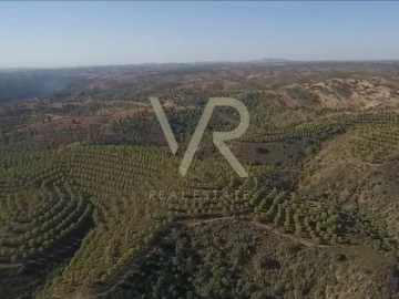 Quinta T0 para Venda em Mertola