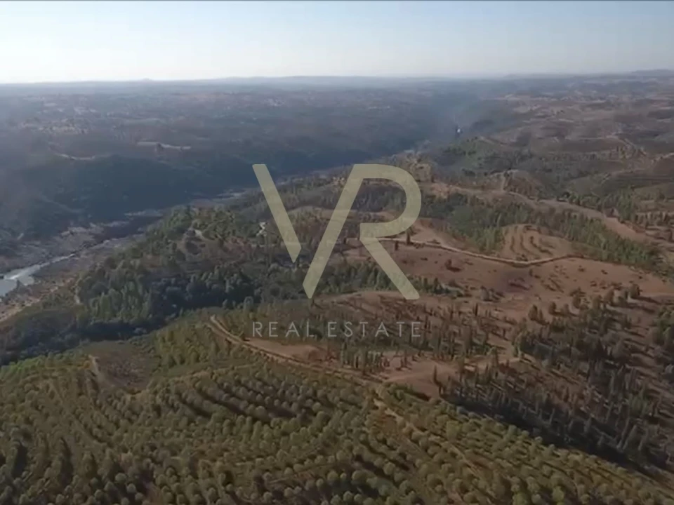 Quinta T0 para Venda em Mertola Foto 15