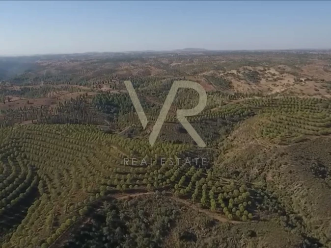 Quinta T0 para Venda em Mertola Foto 12