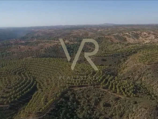 Quinta T0 para Venda em Mertola Foto 14