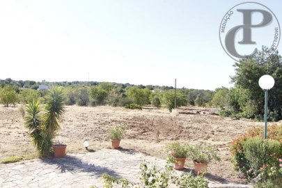 Terreno para Venda em Santa Barbara de Nexe