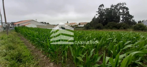 Terreno para Venda em São Bernardo