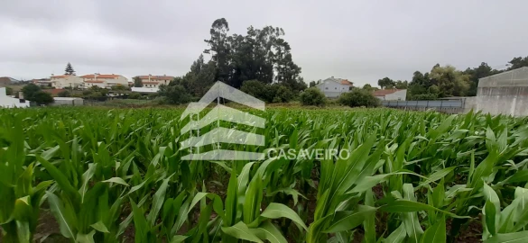 Terreno para Venda em São Bernardo