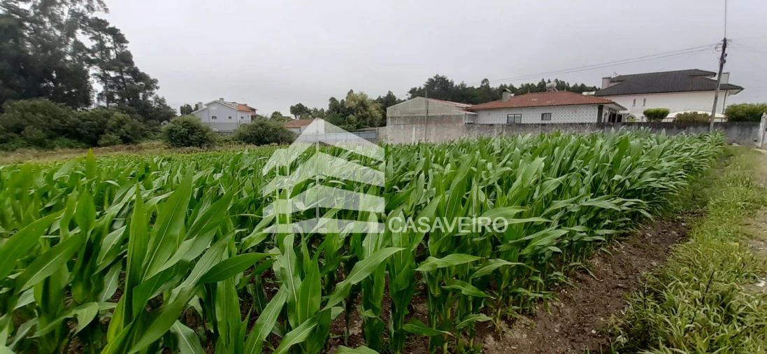 Terreno para Venda em São Bernardo Foto 3