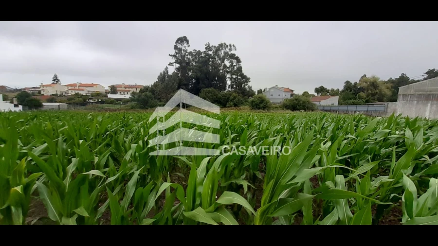 Terreno para Venda em São Bernardo