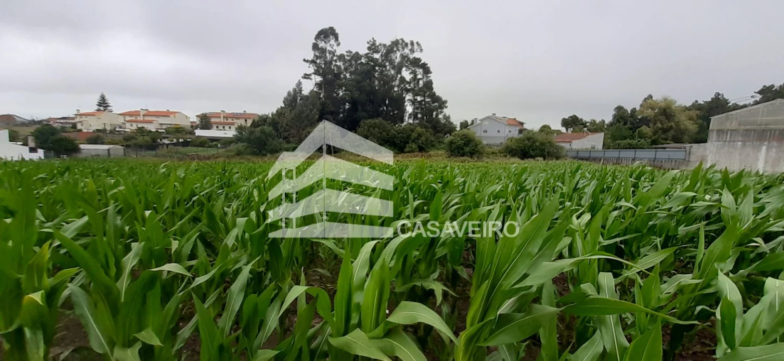 Terreno para Venda em São Bernardo Foto 1