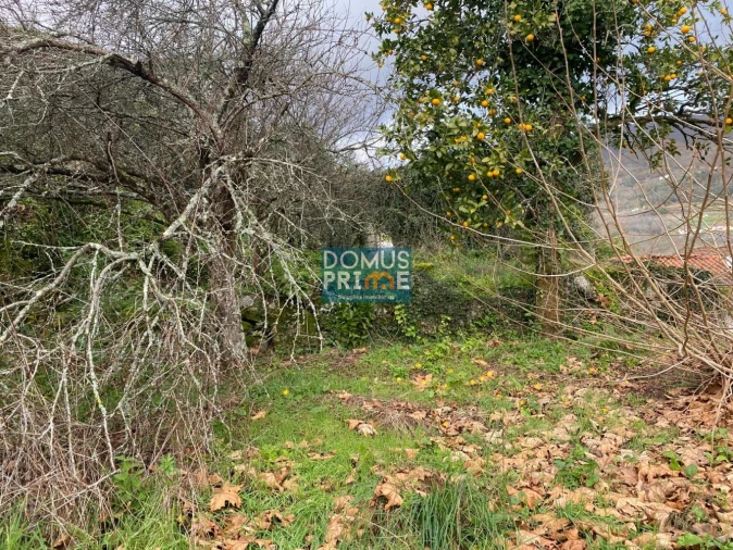 Moradia T2 para Venda em Valdreu Foto 15