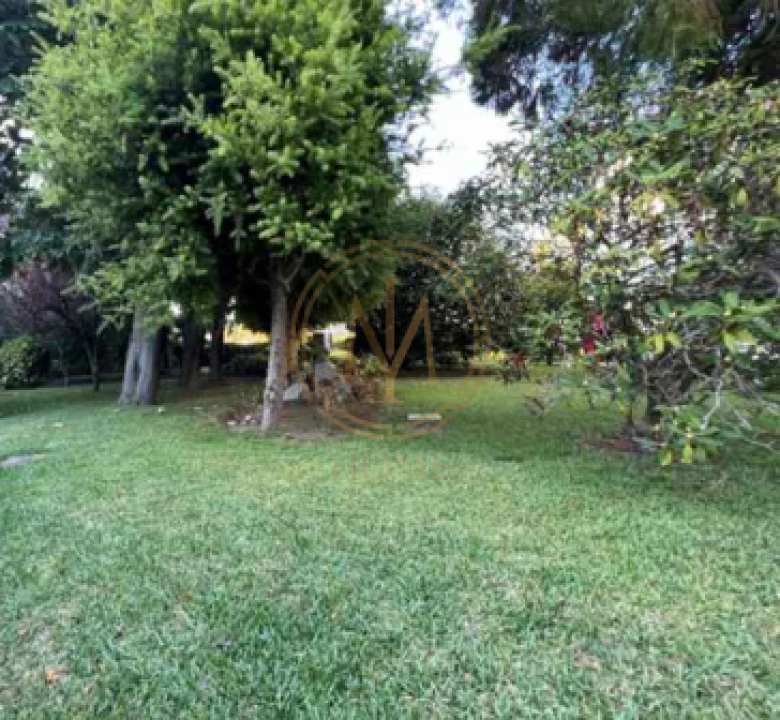 Moradia T3 para Venda em Lordelo do Ouro e Massarelos Foto 44