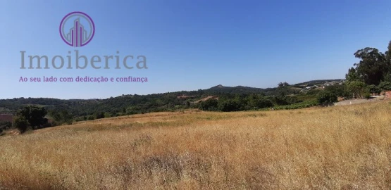 Terreno para Venda em Abrigada e Cabanas de Torres