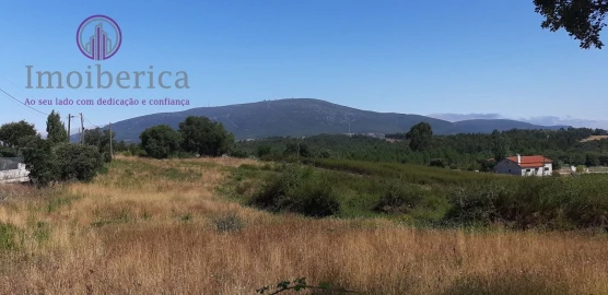 Terreno para Venda em Abrigada e Cabanas de Torres