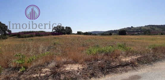 Terreno para Venda em Abrigada e Cabanas de Torres