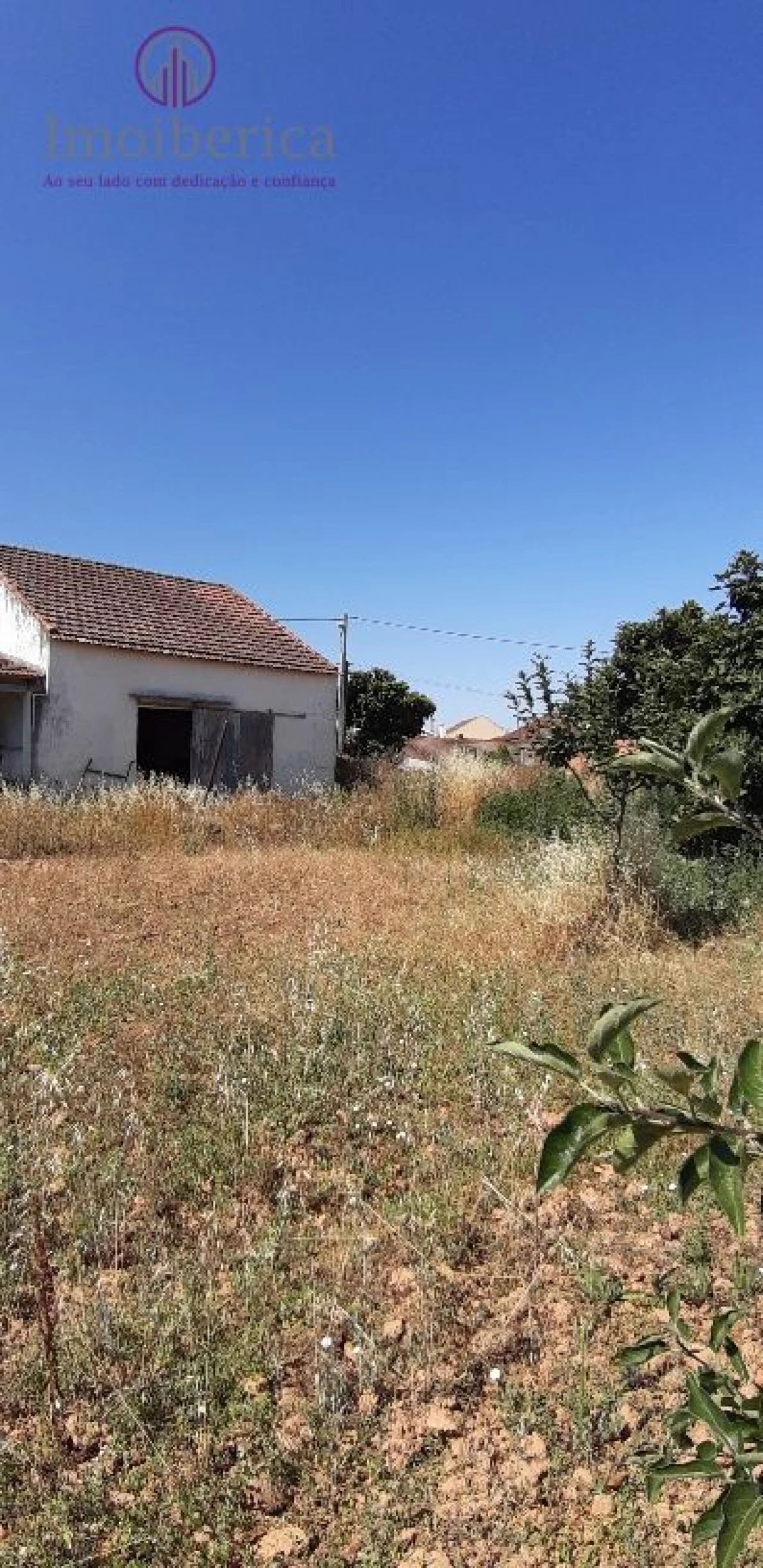 Loja para Venda em Abrigada e Cabanas de Torres Foto 2