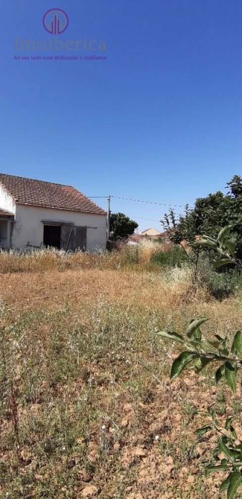 Loja para Venda em Abrigada e Cabanas de Torres
