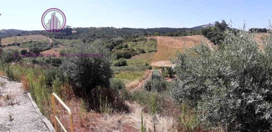 Terreno para Venda em Abrigada e Cabanas de Torres