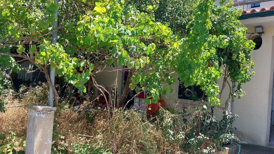 Loja para Venda em São Domingos de Rana