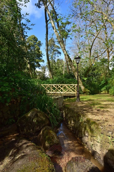 Quinta T7 para Venda em Santa Maria e São Miguel, São Martinho, São Pedro Penaferrim