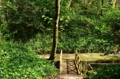 Quinta T7 para Venda em Santa Maria e São Miguel, São Martinho, São Pedro Penaferrim