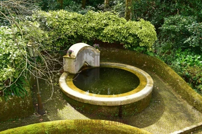 Quinta T7 para Venda em Santa Maria e São Miguel, São Martinho, São Pedro Penaferrim