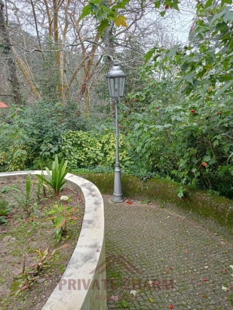 Quinta T7 para Venda em Santa Maria e São Miguel, São Martinho, São Pedro Penaferrim