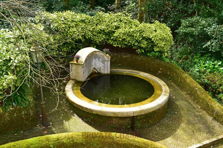 Quinta T7 para Venda em Santa Maria e São Miguel, São Martinho, São Pedro Penaferrim Foto 17
