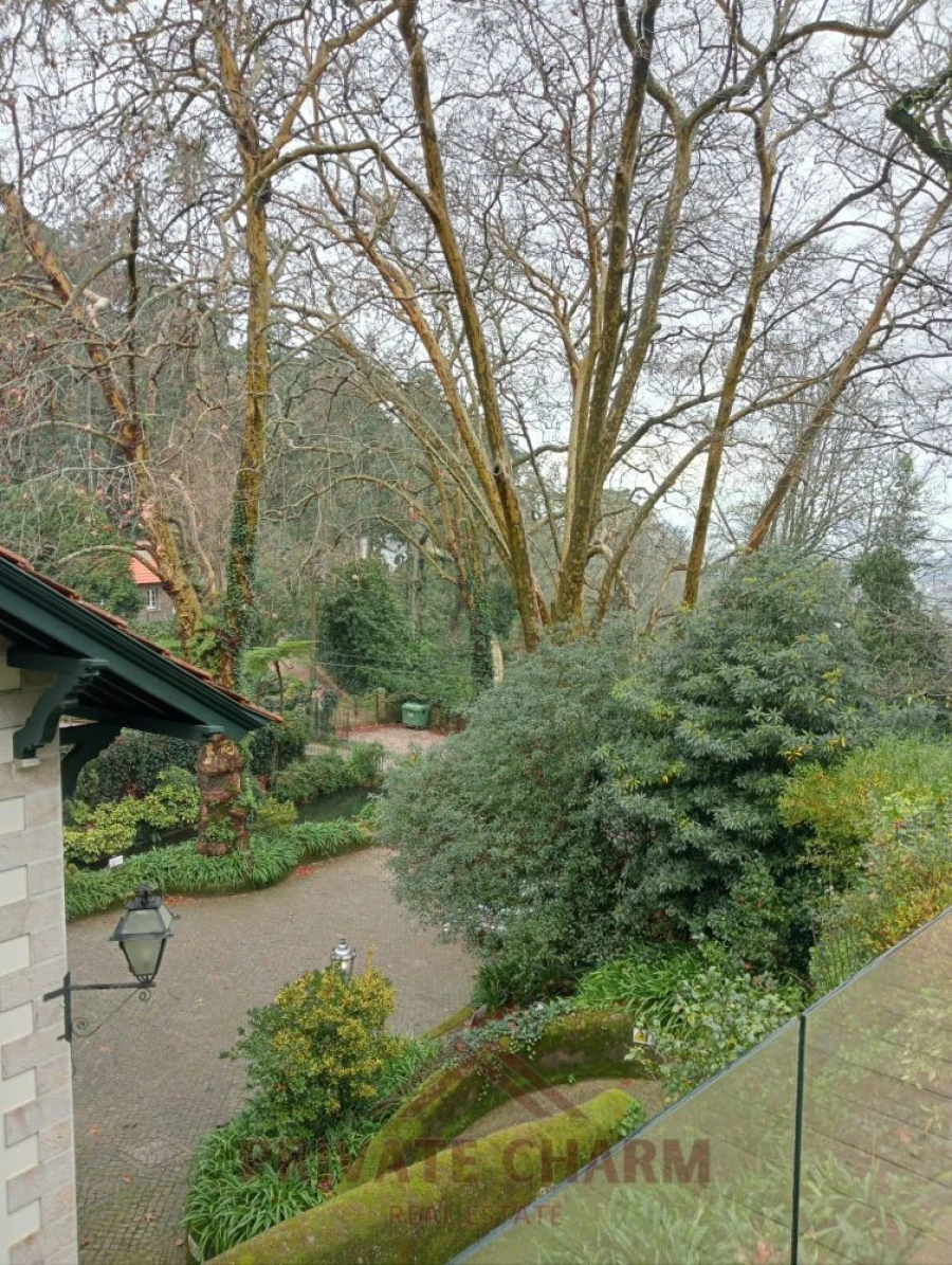 Quinta T7 para Venda em Santa Maria e São Miguel, São Martinho, São Pedro Penaferrim Foto 10