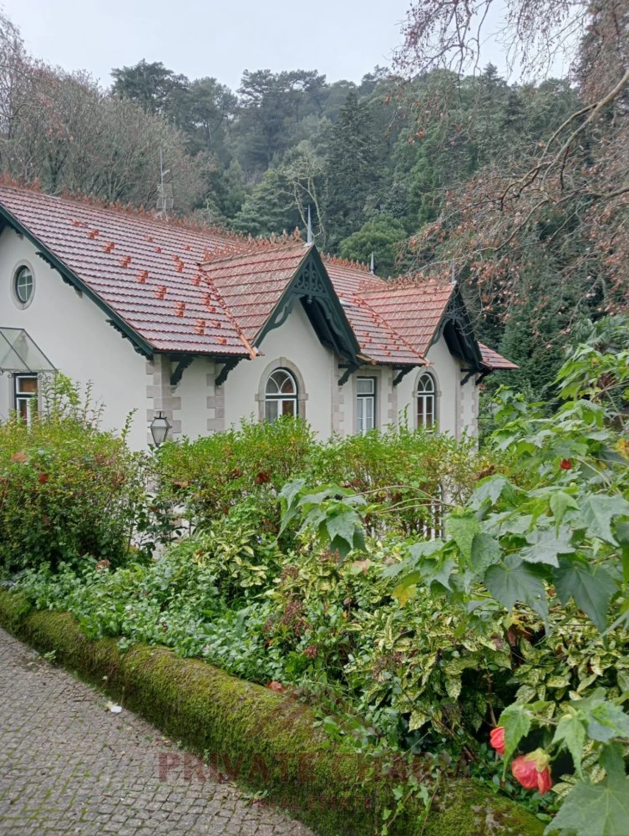 Quinta T7 para Venda em Santa Maria e São Miguel, São Martinho, São Pedro Penaferrim Foto 8