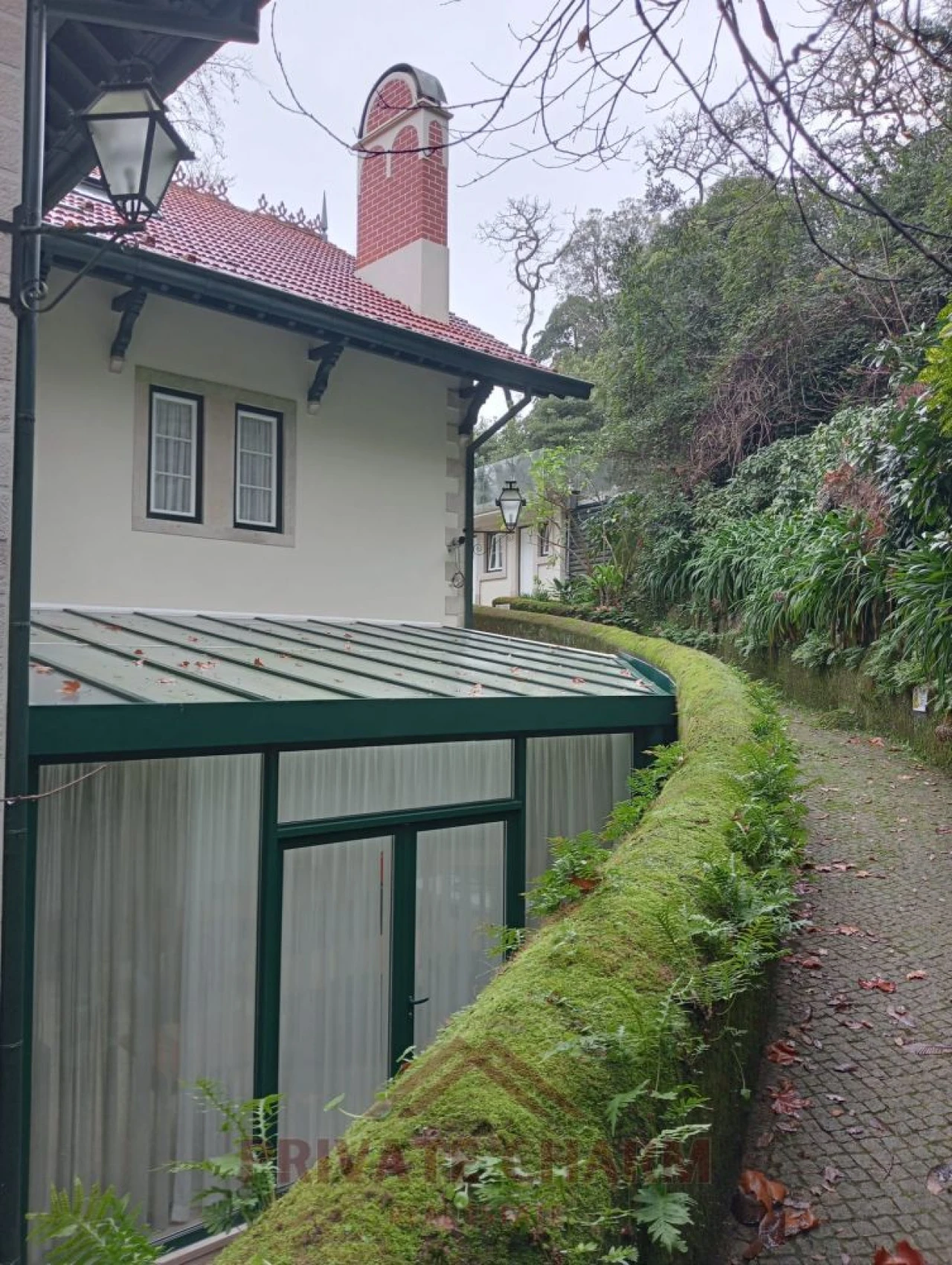Quinta T7 para Venda em Santa Maria e São Miguel, São Martinho, São Pedro Penaferrim Foto 11