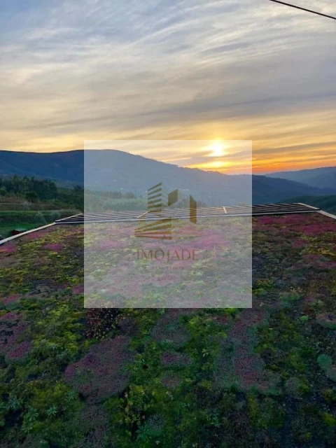 Quinta T10 para Venda em Sandomil