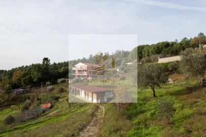 Quinta T10 para Venda em Sandomil