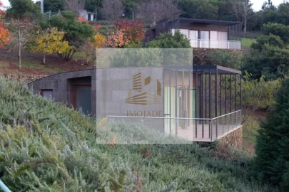 Quinta T10 para Venda em Sandomil