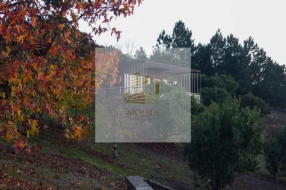 Quinta T10 para Venda em Sandomil