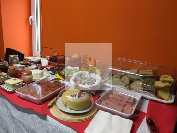 Quinta T10 para Venda em Sandomil