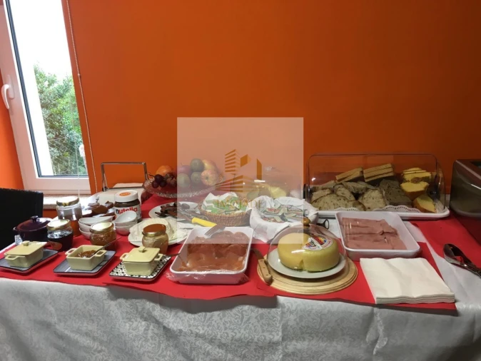 Quinta T10 para Venda em Sandomil Foto 41