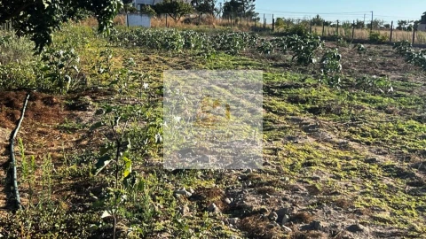 Terreno para Venda em Barrosa