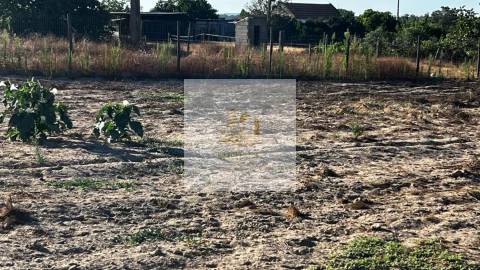 Terreno para Venda em Barrosa