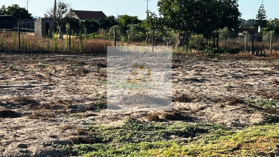 Terreno para Venda em Barrosa Foto 11
