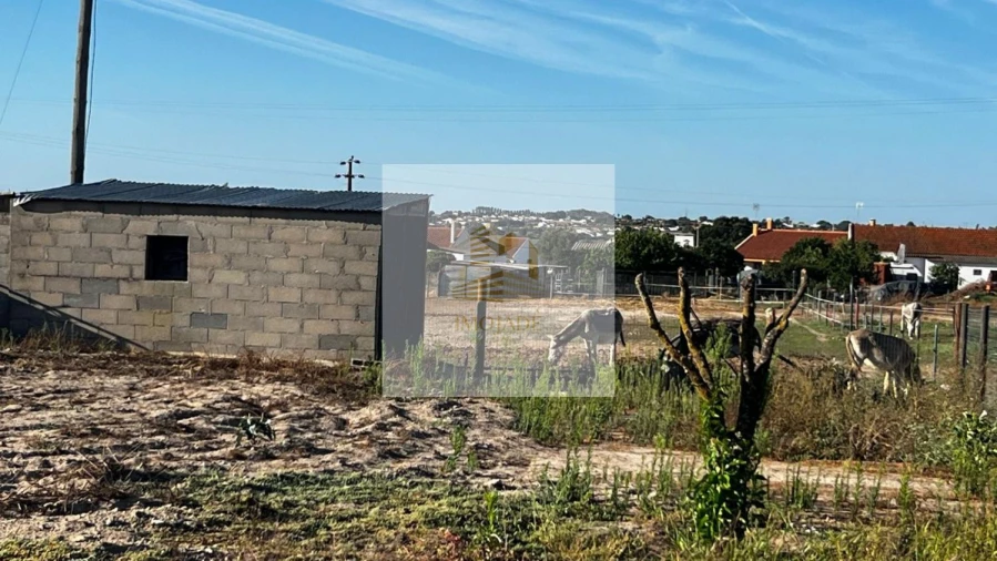 Terreno para Venda em Barrosa Foto 2