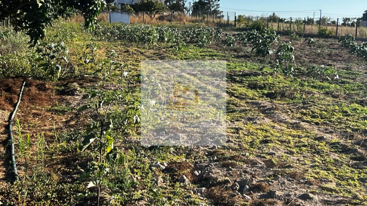 Terreno para Venda em Barrosa Foto 7