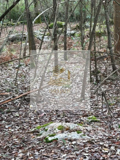 Terreno para Venda em São Mamede