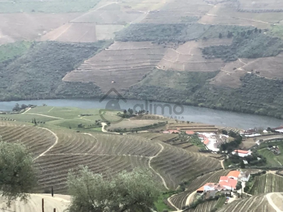 Moradia T2 para Venda em Alijo Foto 2