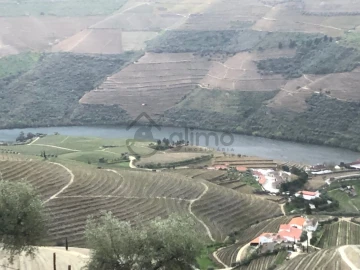 Moradia T2 para Venda em Alijo